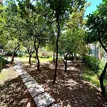 Matteotti Living And Garden *